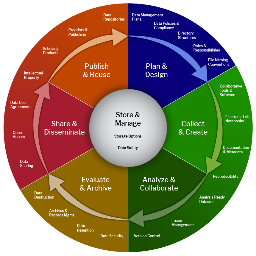 This diagram depicts the core stages of the research lifecycle. The center of the wheel has a grey circle labeled "Store & Manage." The second layer is cut into six segments labeled "Plan & Design" in dark blue, "Collect & Create" in light green, "Analyze & Collaborate" in dark green, "Evaluate & Archive" in gold, "Share & Disseminate" in red, and "Publish & Reuse" in orange. Guiding arrows are at the edge of each segment, showing the process to be continuous like a wheel. The third layer expands the colors of each of the six sections and includes sub-elements of activities or resources that are involved in each of the six segments.