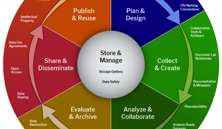 The core stages of the research lifecycle as a continuous wheel.